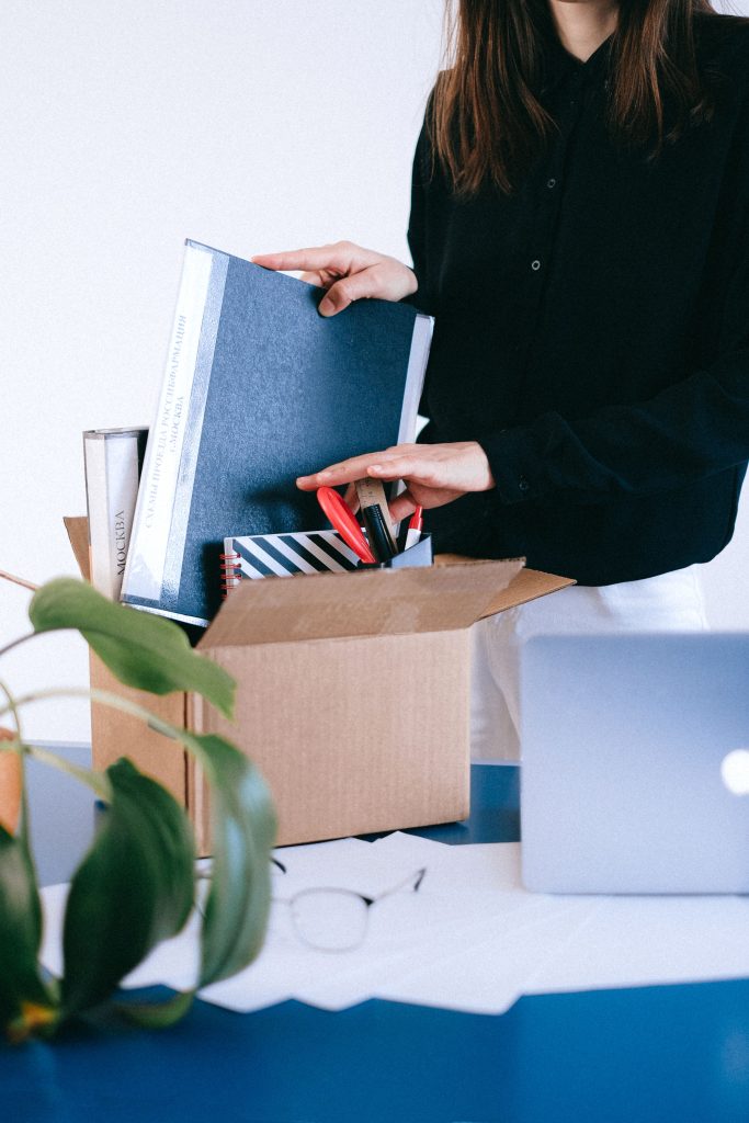 Branch out to SEO or email marketing?